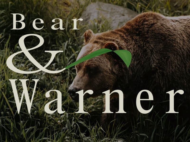 Cover image for Logo Design