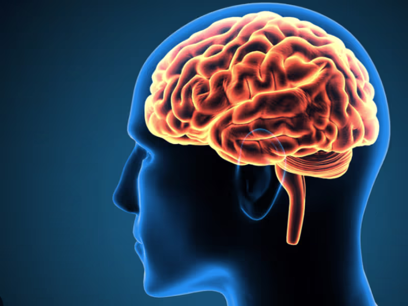 Cover image for student of physiology