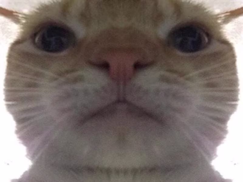 Cover image for Website Design