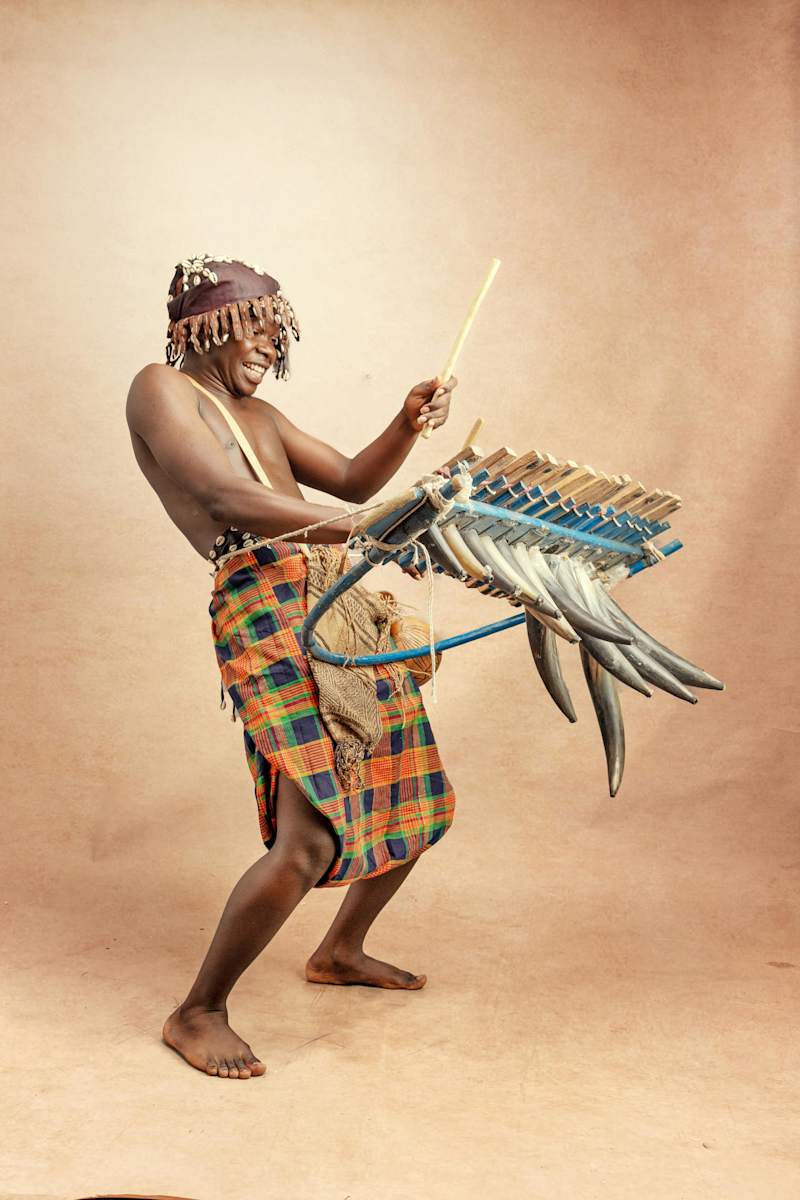 Cover image for The Evolution of Music in Africa