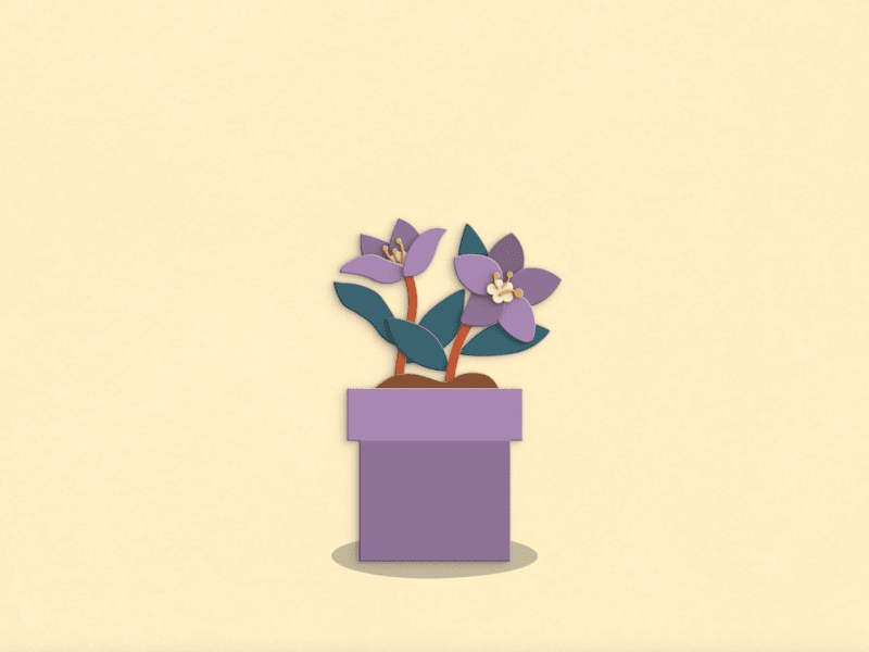 Cover image for Short Motion Graphic