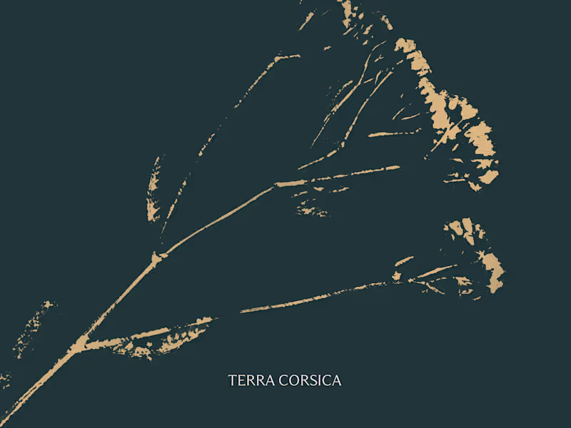 Cover image for Visual Identity for Terra Corsica