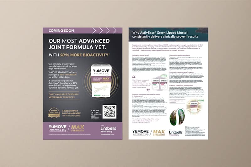 Cover image for Content for new product campaign