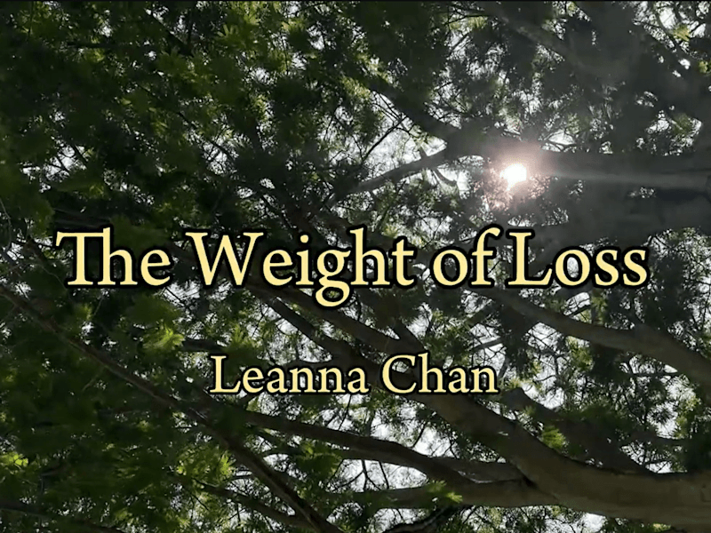Cover image for The Weight of Loss, 2024 