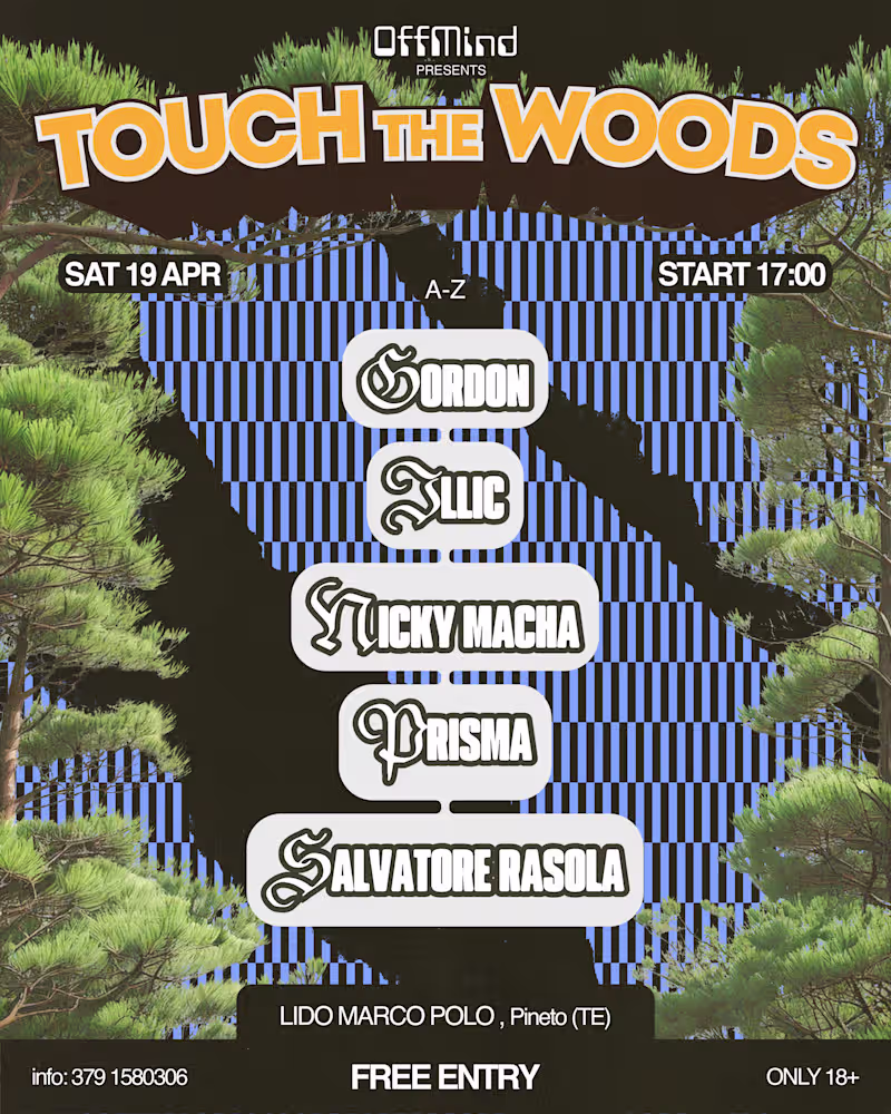 Cover image for Touch The Woods Art Direction