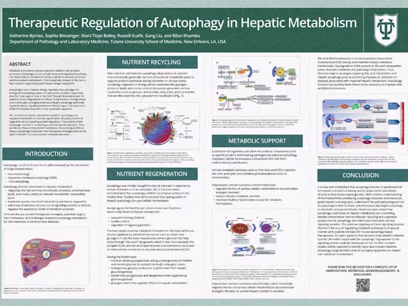 Cover image for Academic or Medical Research Poster Design (PowerPoint)
