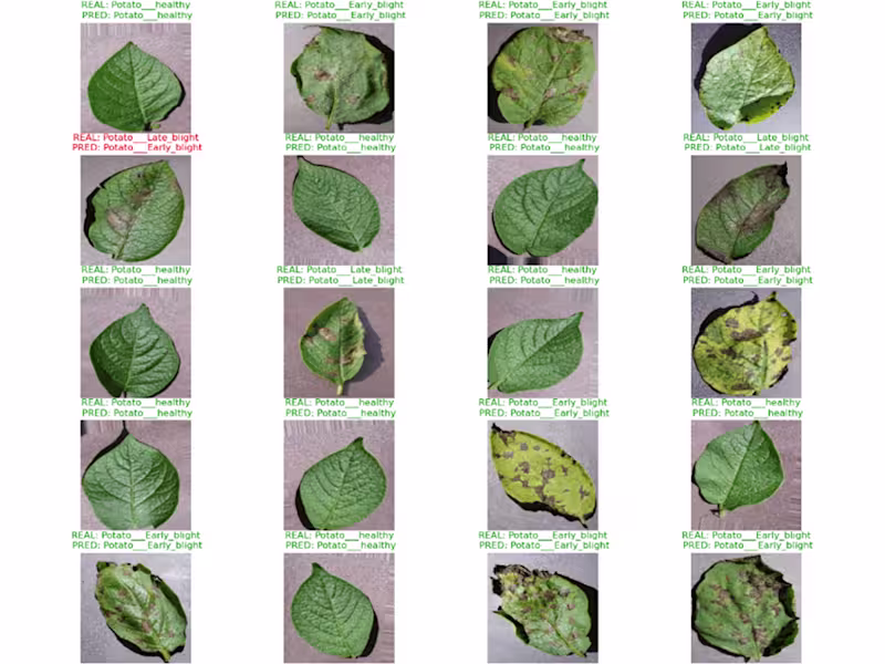 Cover image for CheckMyPotatoes