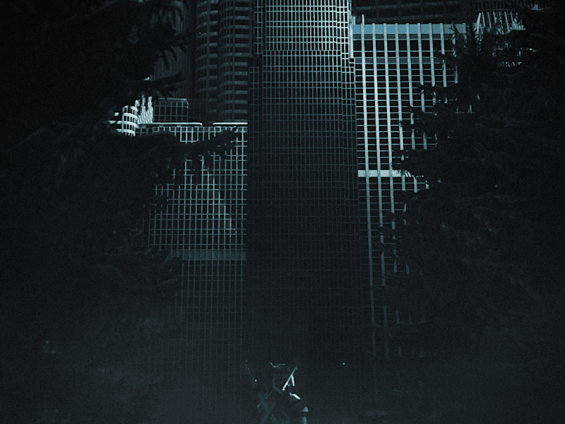 Cover image for Enter