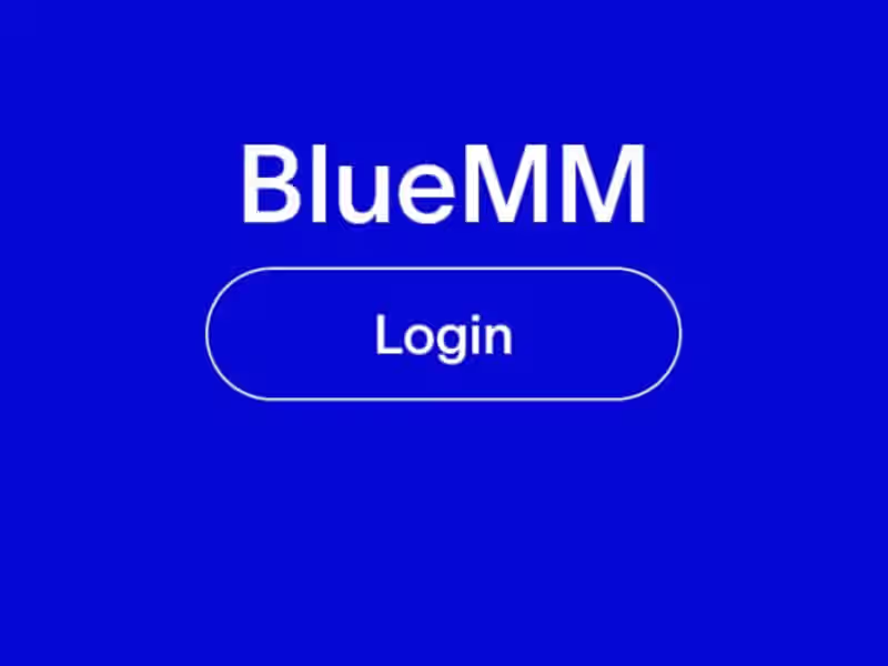 Cover image for SLB Blumm