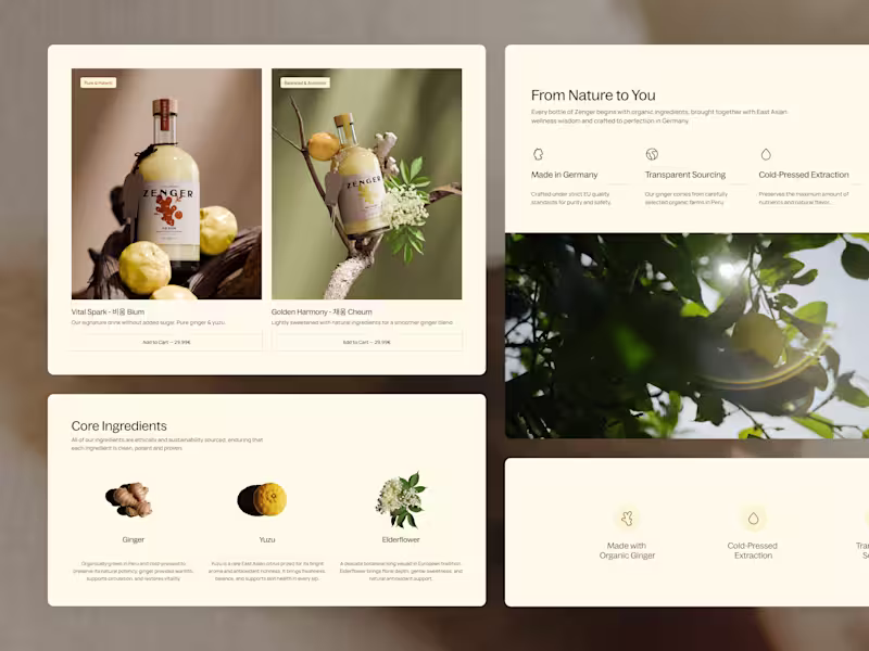 Cover image for Web Design (UX/UI)