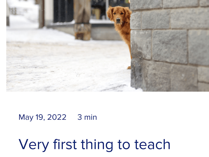 Cover image for Blog Writing
