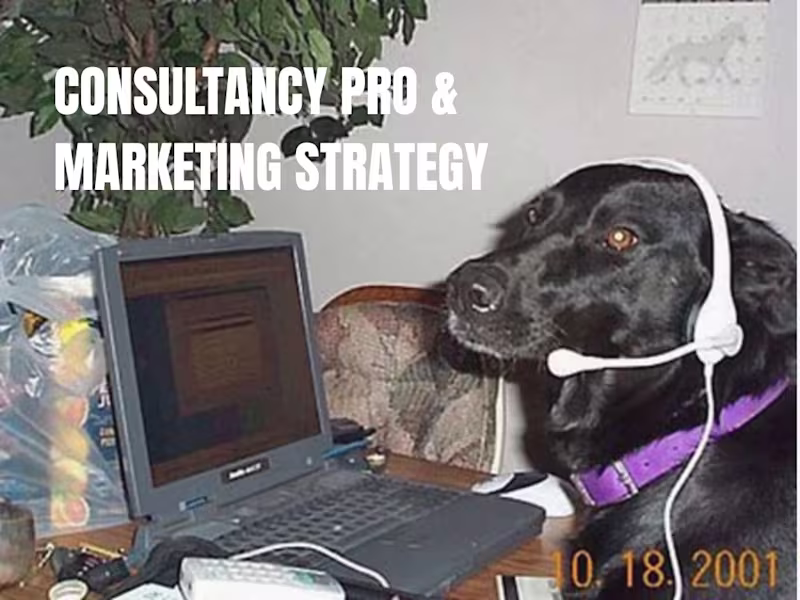 Cover image for Consulting + Marketing Strategy + Full Audit | Startup growth 