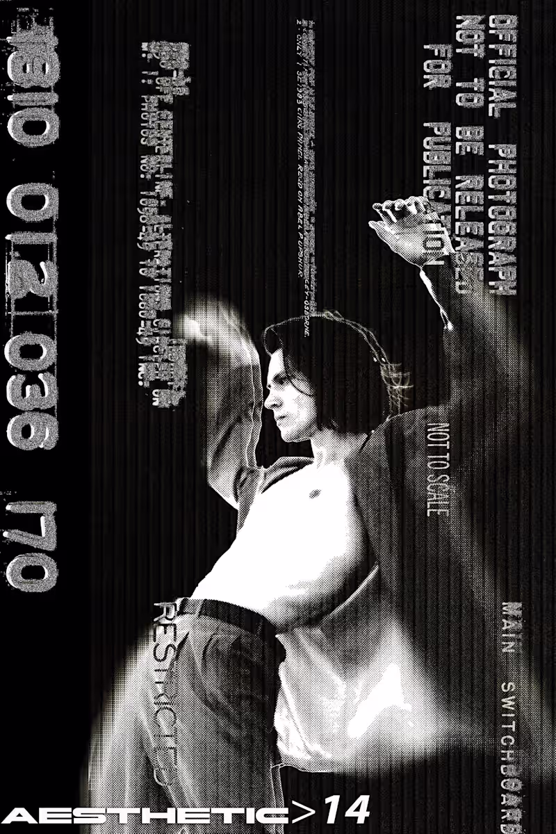 Cover image for Aesthetic
