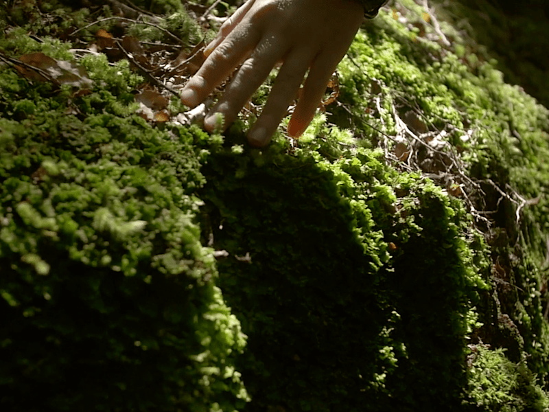 Cover image for Creative 10 min brand film for a company's mission 