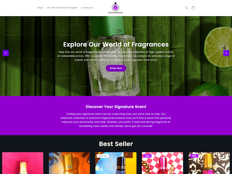 Cover image for  Shopify Ecommerce Website