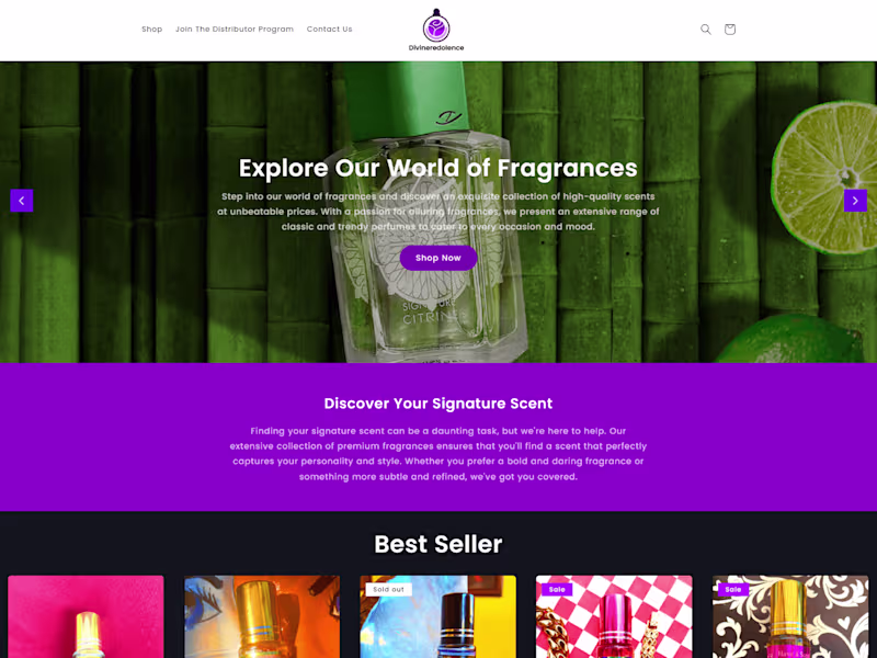 Cover image for  Shopify Ecommerce Website