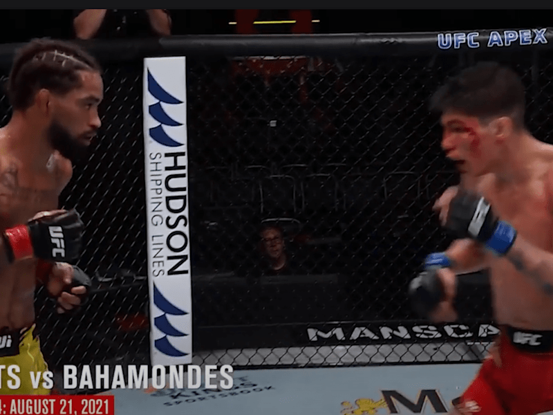 Cover image for UFC Style Videos