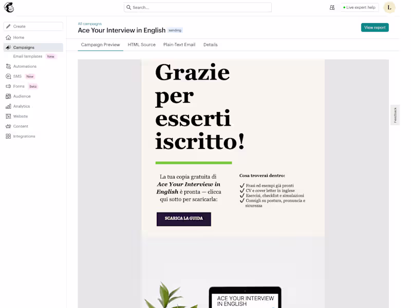 Cover image for Email + Automation Systems