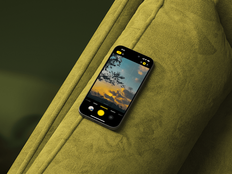 Cover image for Camera Options