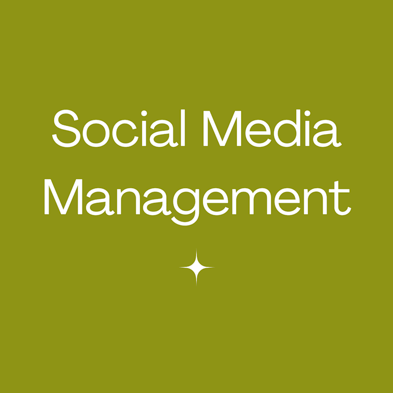 Cover image for Social Media Management