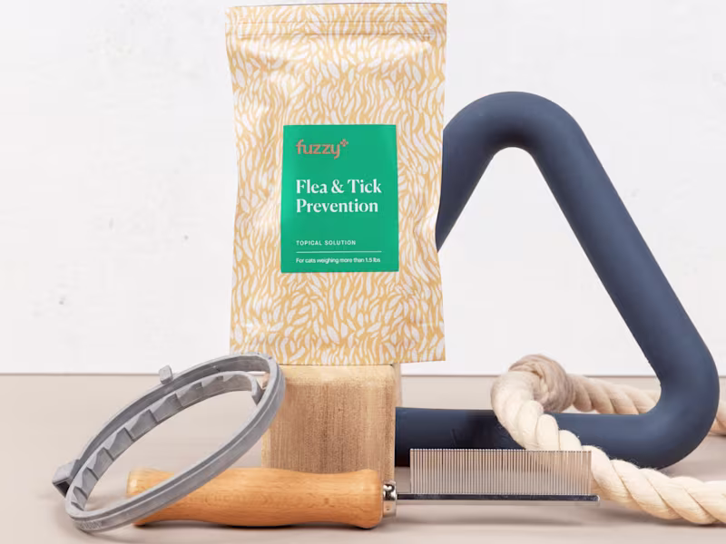 Cover image for Fuzzy E-commerce Photoshoot 