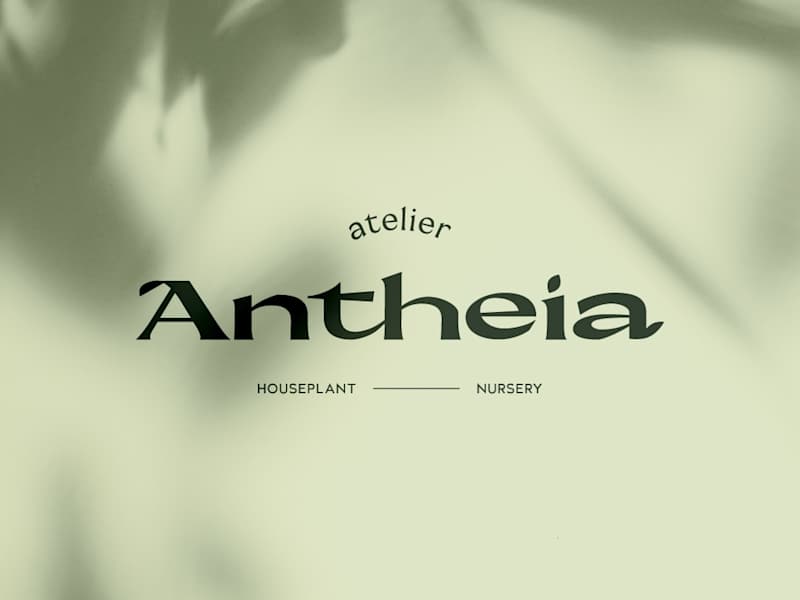 Cover image for Atelier Antheia - an Artisan Houseplant Nursery Brand