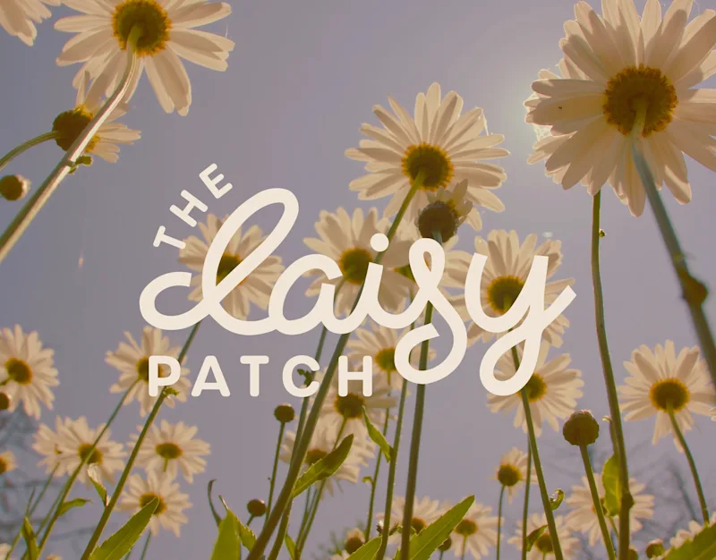 Cover image for The Daisy Patch - Brand Design