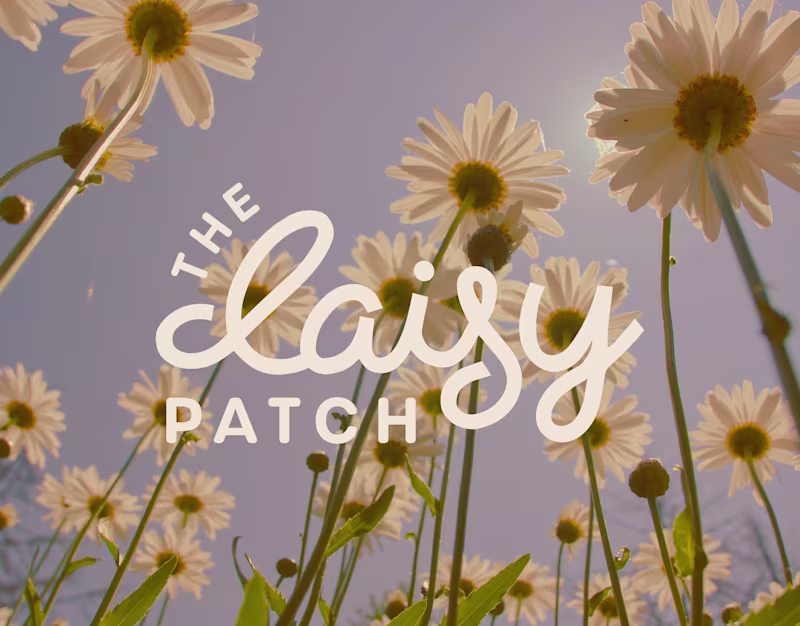 Cover image for The Daisy Patch - Brand Design