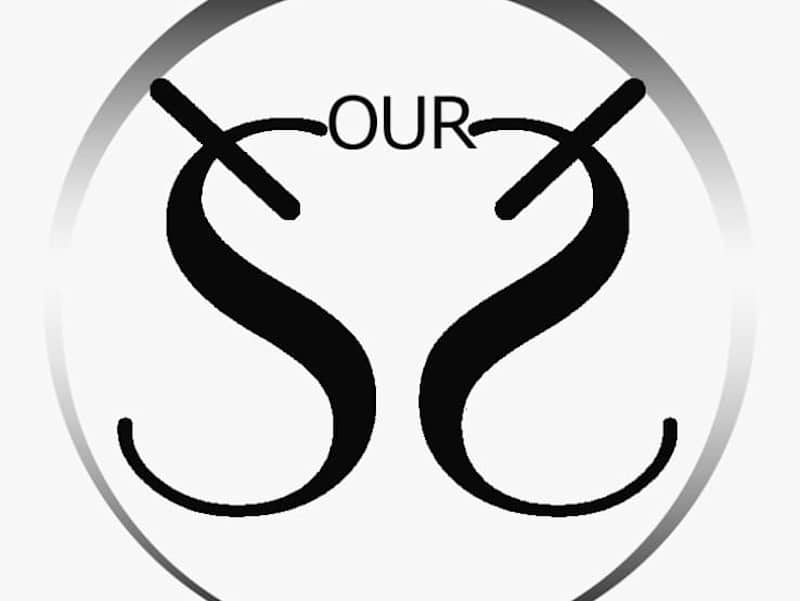 Cover image for Our-Organization