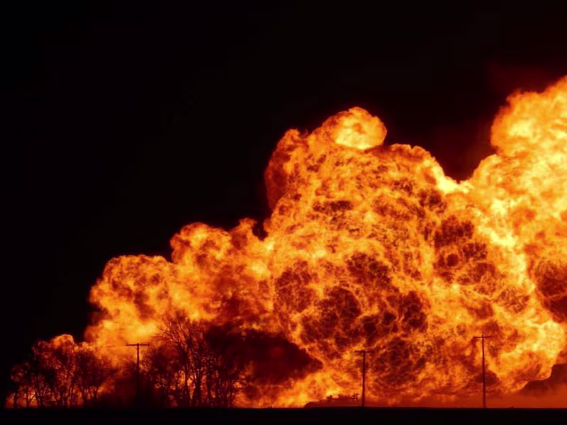 Cover image for Need help on your project ? 