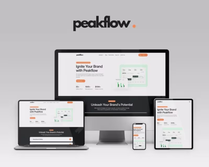 Cover image for Peakflow Business Website