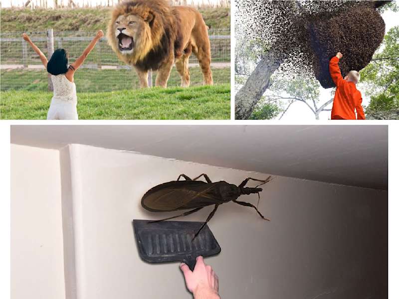 Cover image for Creative Photo Manipulation and Realistic Thumbnail Design
