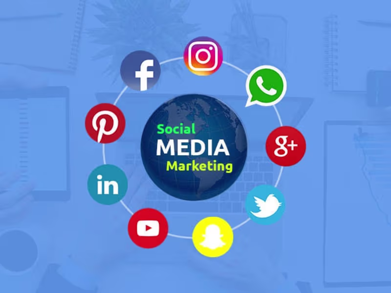 Cover image for I can manage all social media platforms