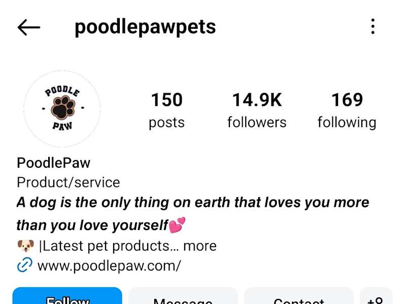 Cover image for Pet product brand increasing revenue to $25,000