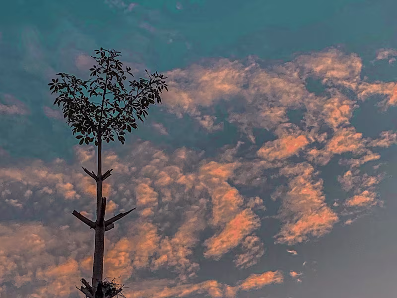 Cover image for Flawless Edits, Captivating Results