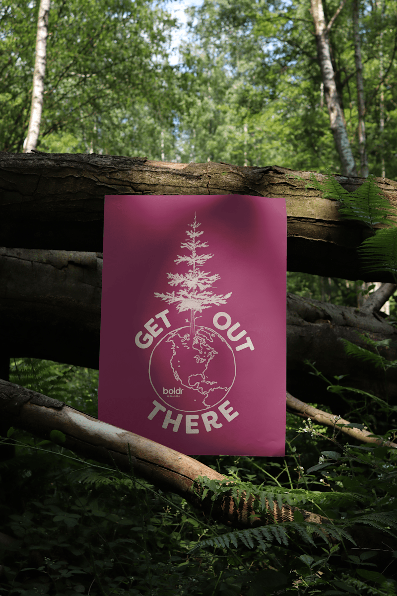 Cover image for Boldr