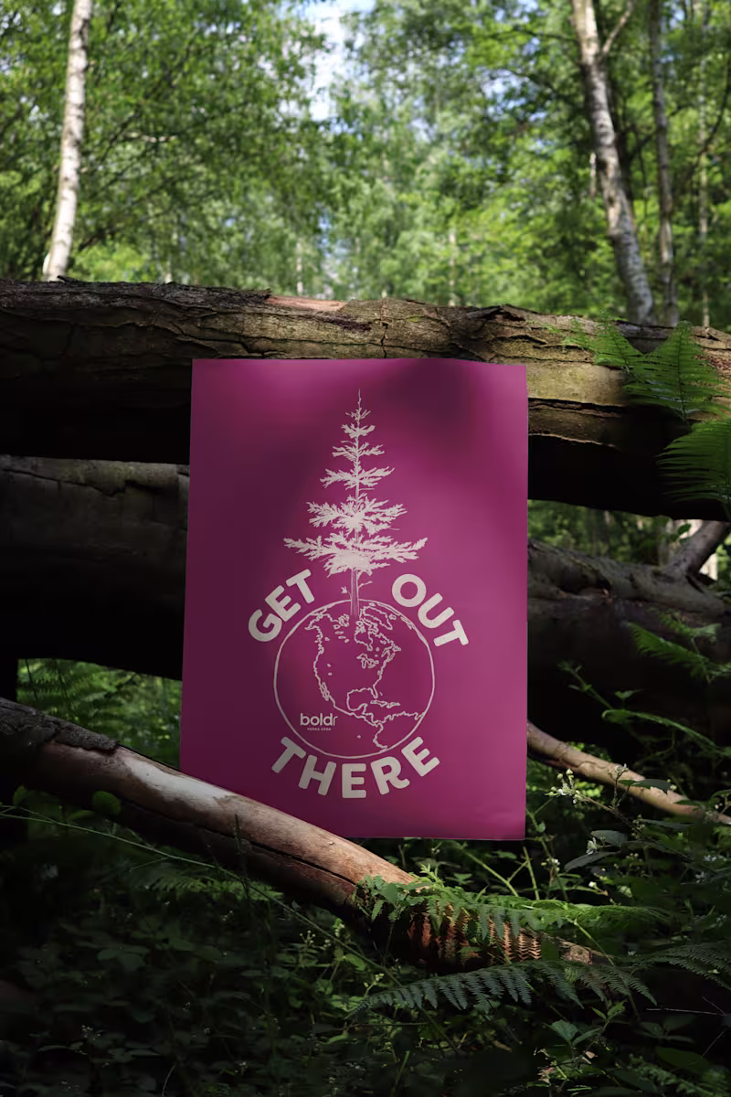 Cover image for Boldr
