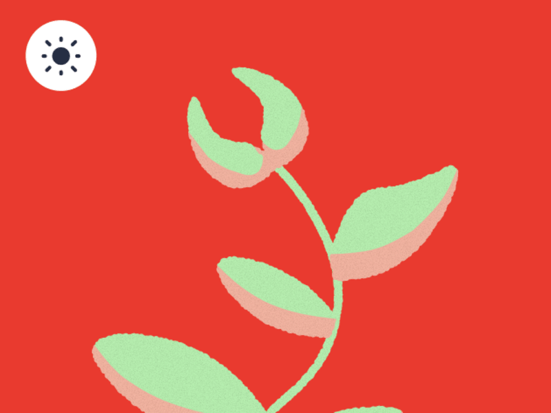 Cover image for Solitary little plant with day/night cycle