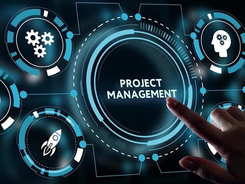 Cover image for Empower Your Vision with Strategic and Agile Project Manager