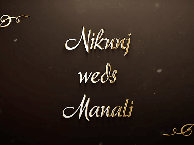 Cover image for Wedding Highlights