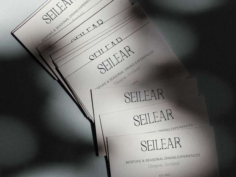 Cover image for Seilear Brand Identity