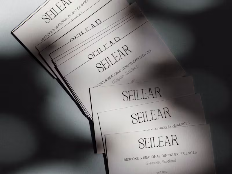 Cover image for Seilear Brand Identity