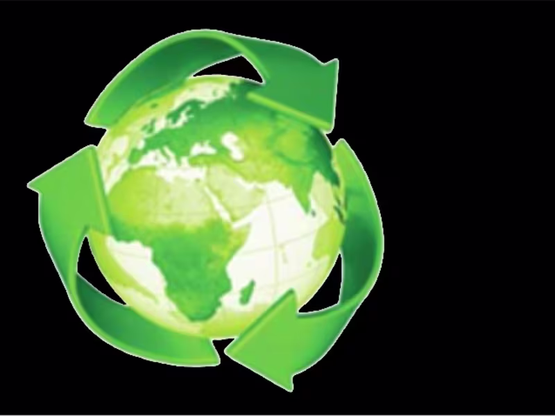 Cover image for Alumn
