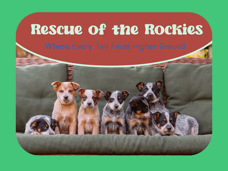 Cover image for Rescue of the Rockies