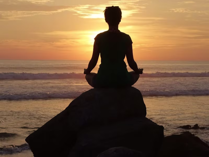 Cover image for Health and wellness