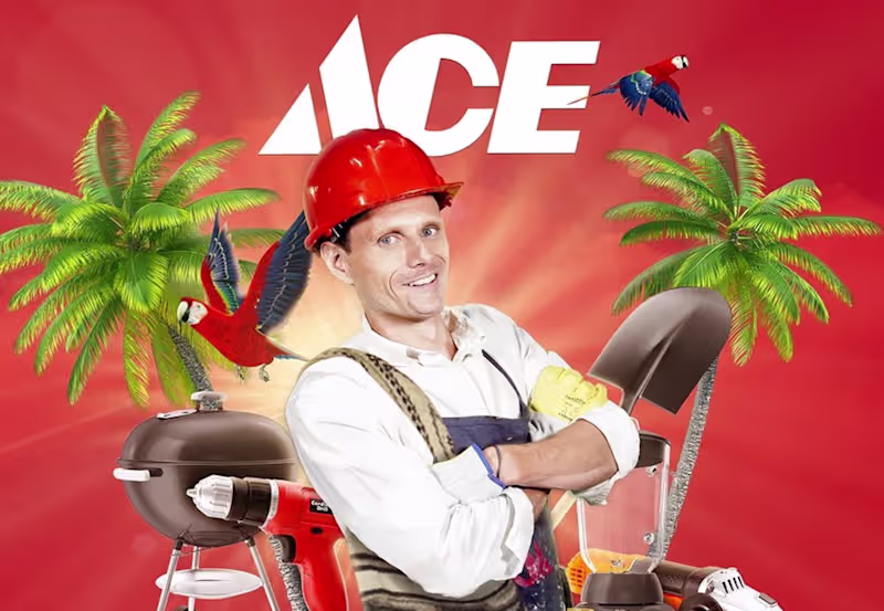 Cover image for Brand Repositioning for ACE Orzuma