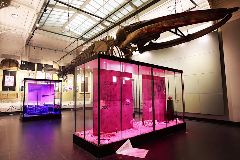 Cover image for Pavillion Design for an Exhibition at Amsterdam Zoo (ARTIS)