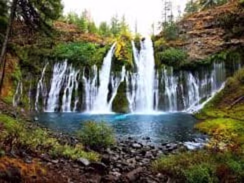 Cover image for Research on parks in major cities in California. 