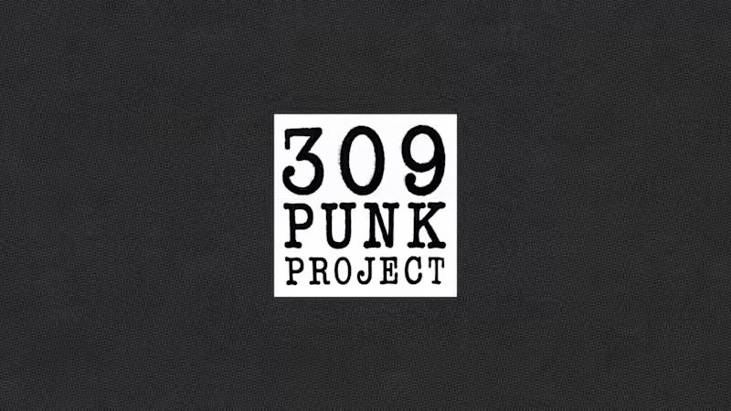 Cover image for 309 Punk Project