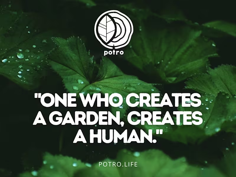 Cover image for One who creates a garden creates a human
